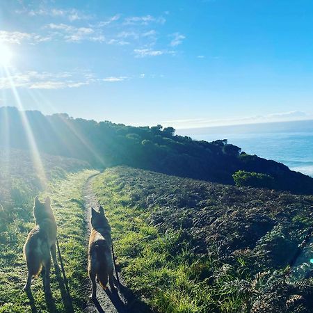 Great Ocean Road Wellness And Nature Stay Apollo Bay Exteriör bild