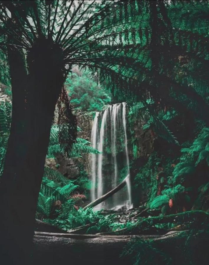 Great Ocean Road Wellness And Nature Stay Apollo Bay Exteriör bild