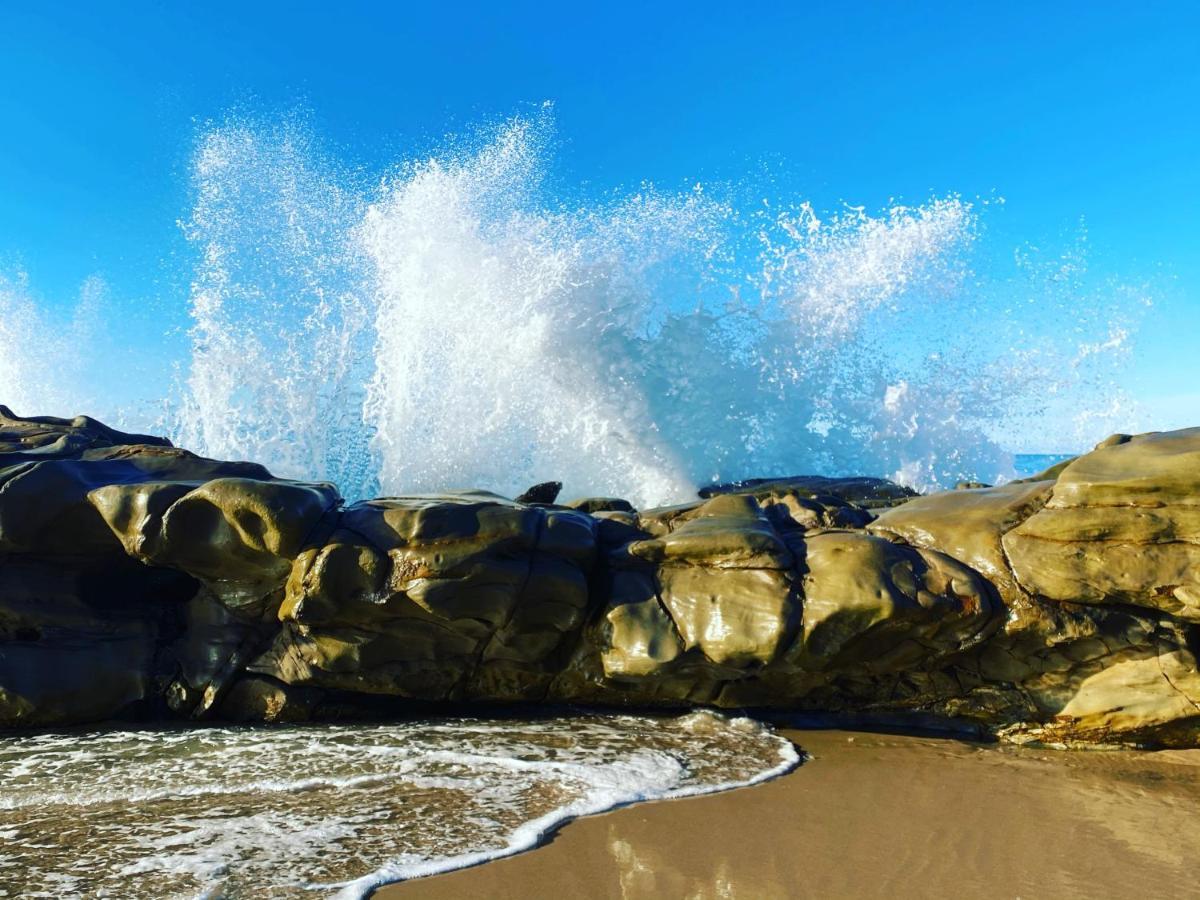 Great Ocean Road Wellness And Nature Stay Apollo Bay Exteriör bild
