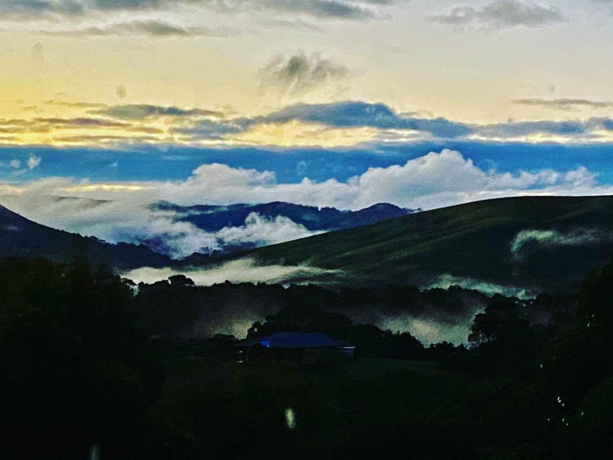 Great Ocean Road Wellness And Nature Stay Apollo Bay Exteriör bild