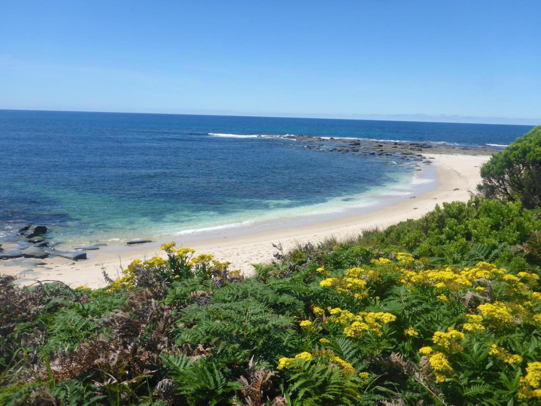 Great Ocean Road Wellness And Nature Stay Apollo Bay Exteriör bild
