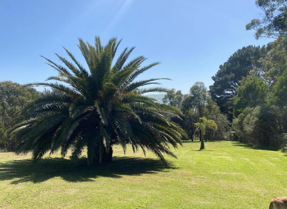 Great Ocean Road Wellness And Nature Stay Apollo Bay Exteriör bild